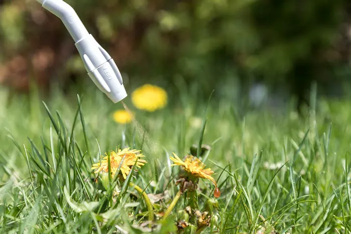 Ned's Lawn and Pest Control Picture 9