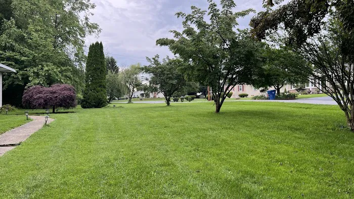 Ned's Lawn and Pest Control Picture 2