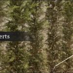 Reliable Pest Control, LLC