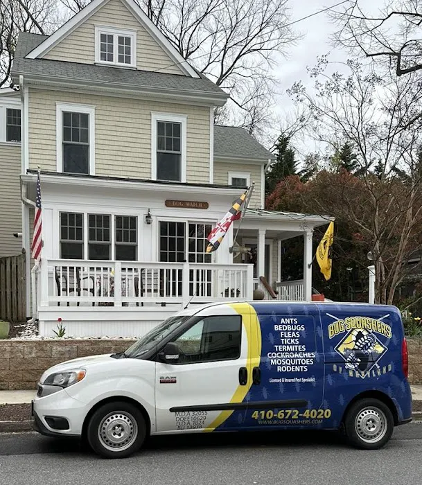 Bug Squashers Pest Control - Cambridge Picture 5
