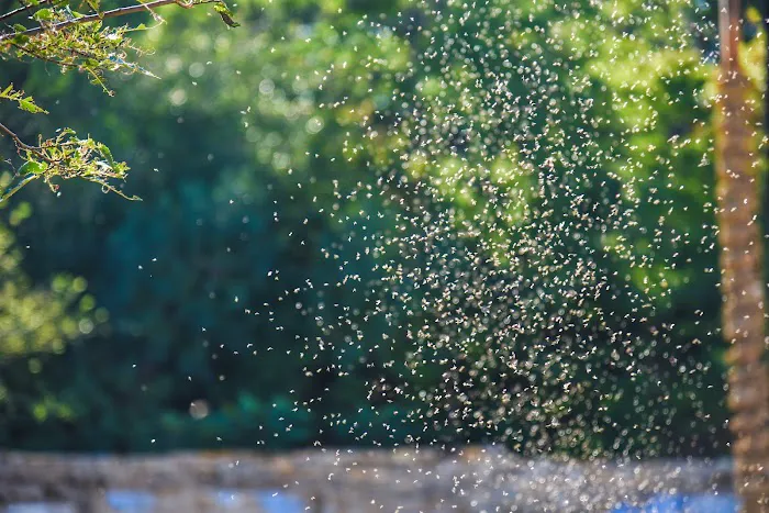 Mosquito Squad of The Eastern Shore of Maryland and Delaware Picture 8