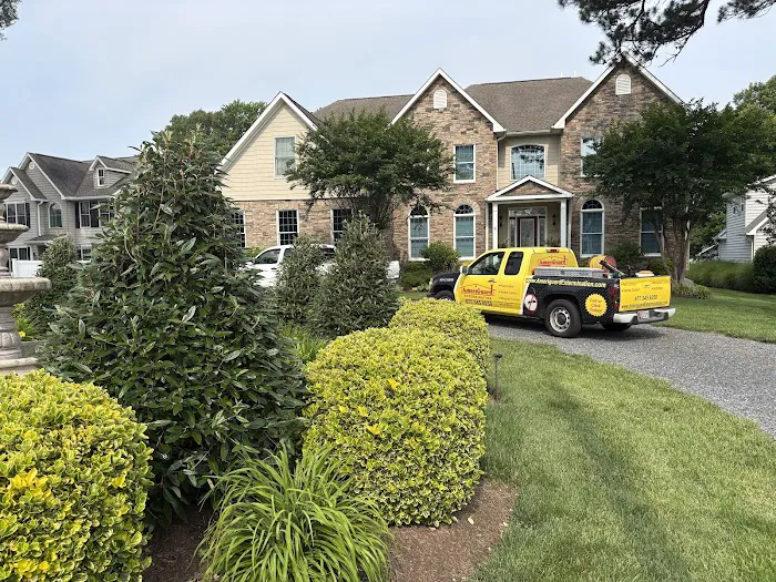 AmeriGuard Extermination Picture 9