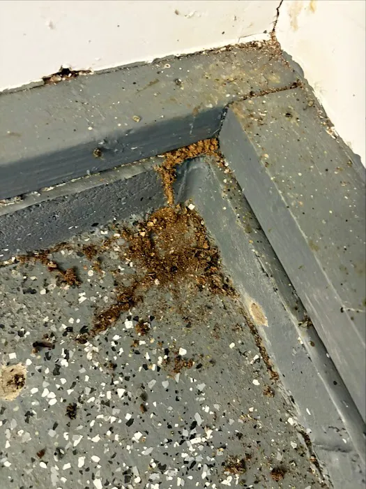 AmeriGuard Extermination Picture 6
