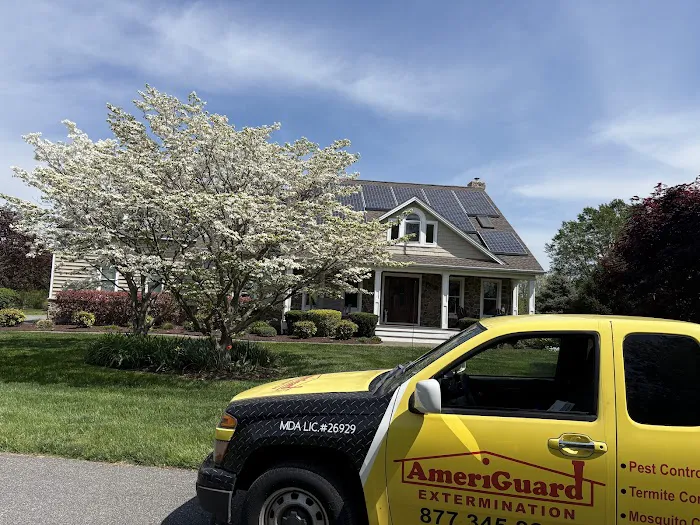 AmeriGuard Extermination Picture 3
