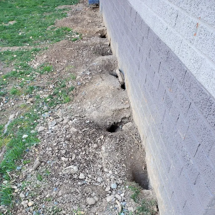 Jankowski Pest Control llc Picture 7