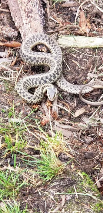 Jankowski Pest Control llc Picture 3