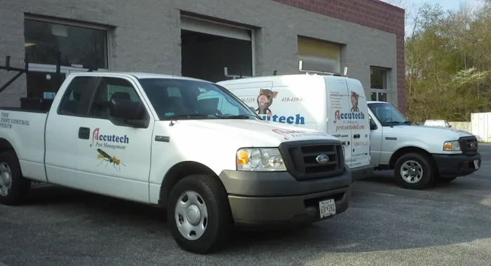 Accutech Pest Management Picture 4