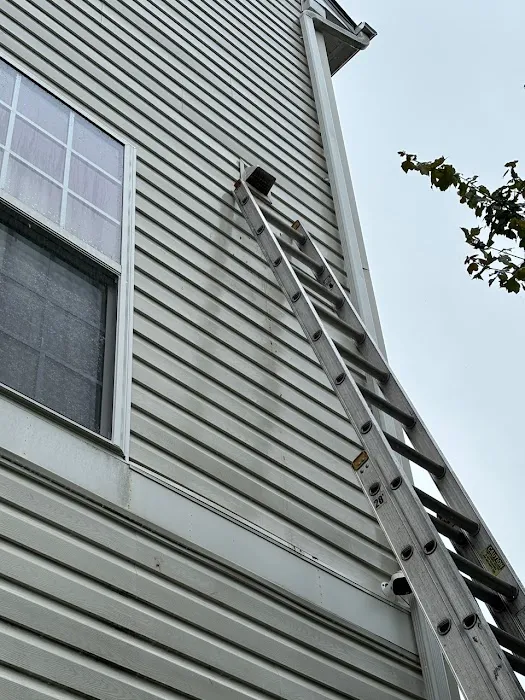 Accutech Pest Management Picture 2
