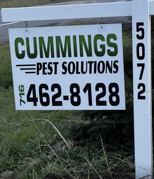 Cummings Pest Solutions Picture 4