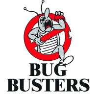 Bugbusters ico