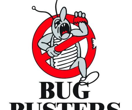 Bugbusters