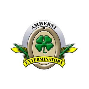 Amherst Exterminators Picture 2