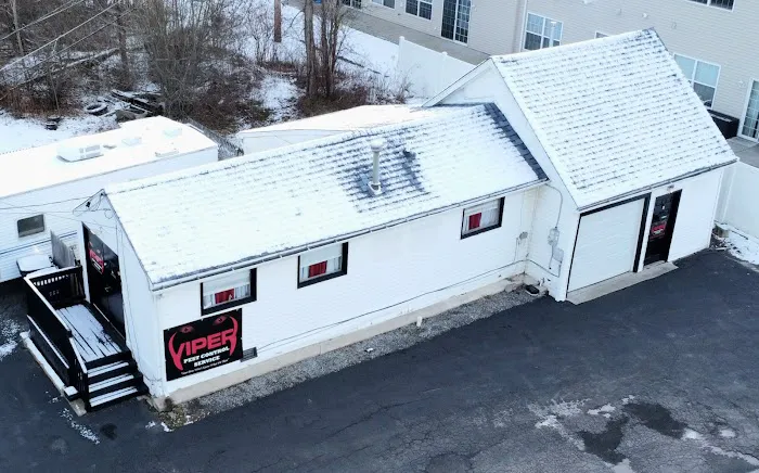 Viper Pest Control Service LLC Picture 2