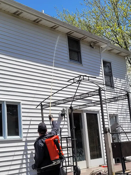 Viper Pest Control Service LLC Picture 4