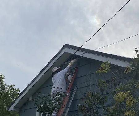 Viper Pest Control Service LLC