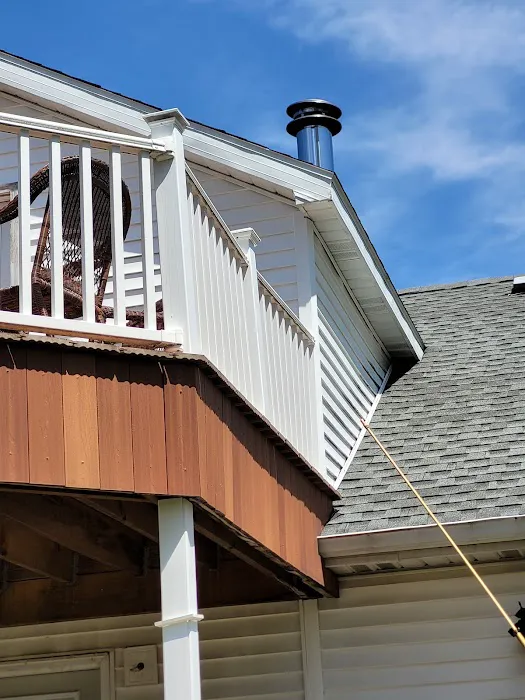 Viper Pest Control Service LLC Picture 6