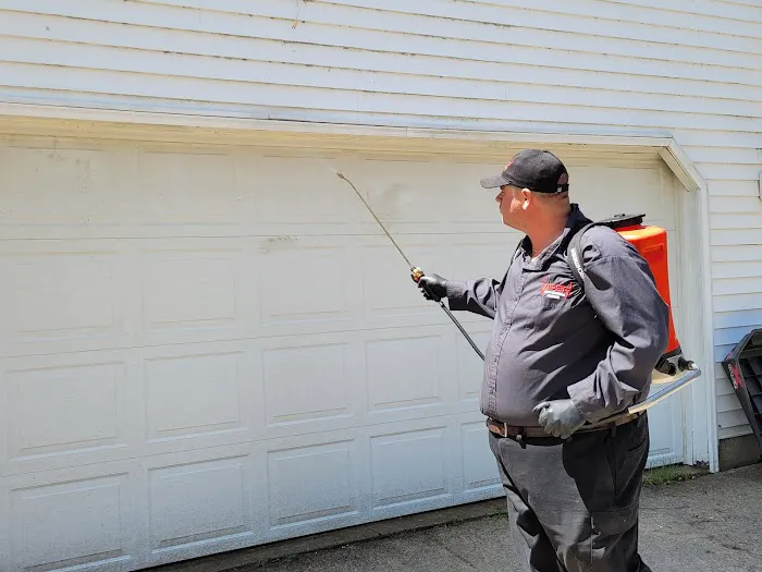 Viper Pest Control Service LLC Picture 7