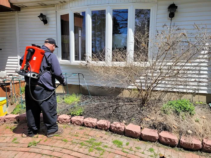 Viper Pest Control Service LLC Picture 10