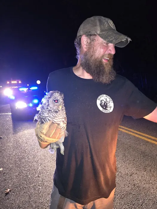 Heath's Wildlife Service Picture 2