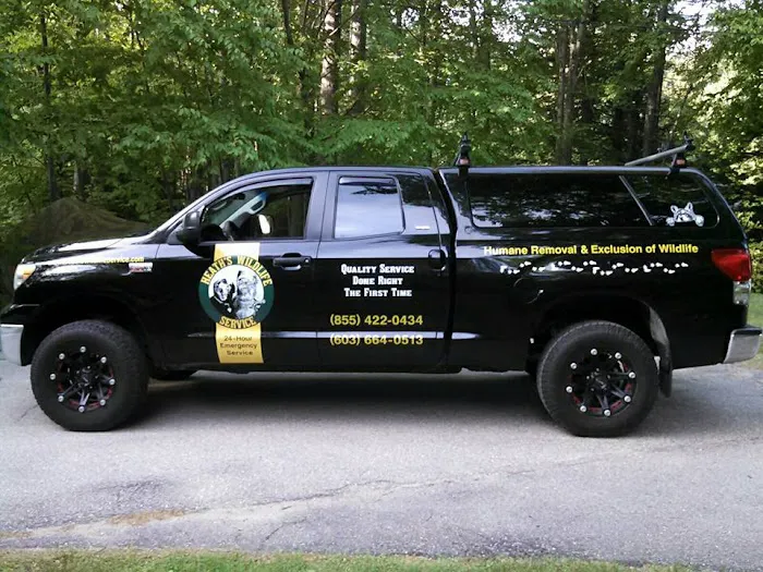 Heath's Wildlife Service Picture 1