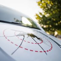 Mosquito Shield of Strafford County, NH & York County, ME ico