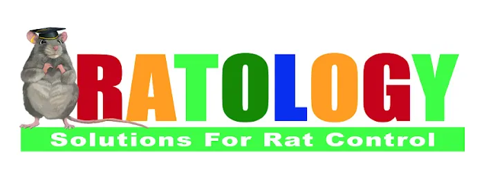 Ratology Picture 2