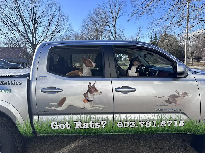 Ratology Picture 1