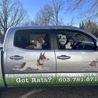 Ratology ico