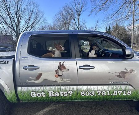 Ratology