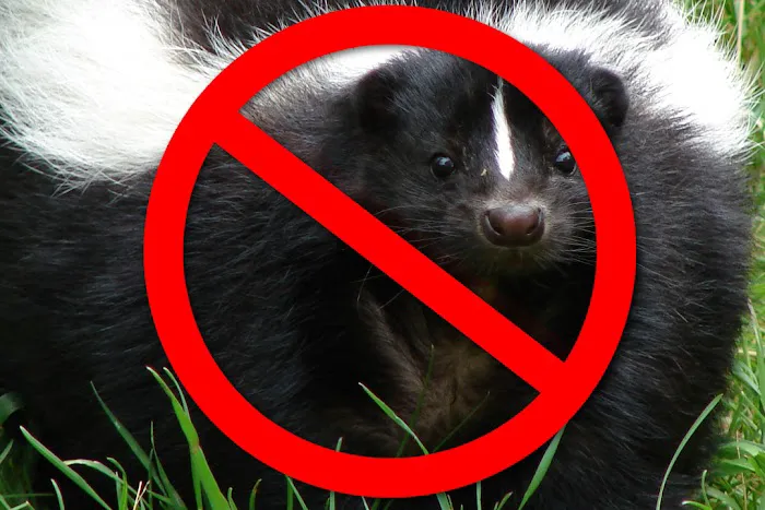 Abundant Wildlife Control Picture 5