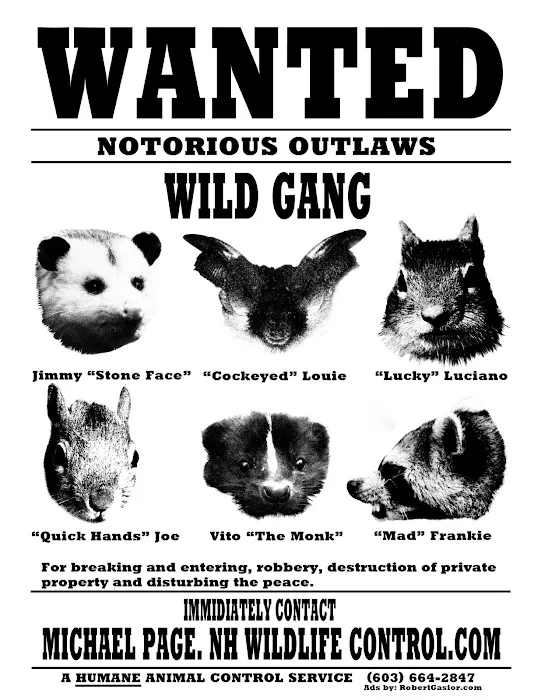 Abundant Wildlife Control Picture 9