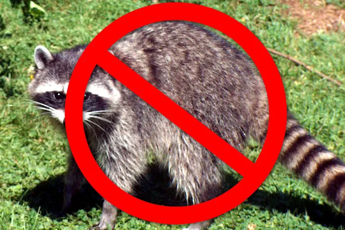 Abundant Wildlife Control Picture 1