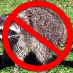 Abundant Wildlife Control