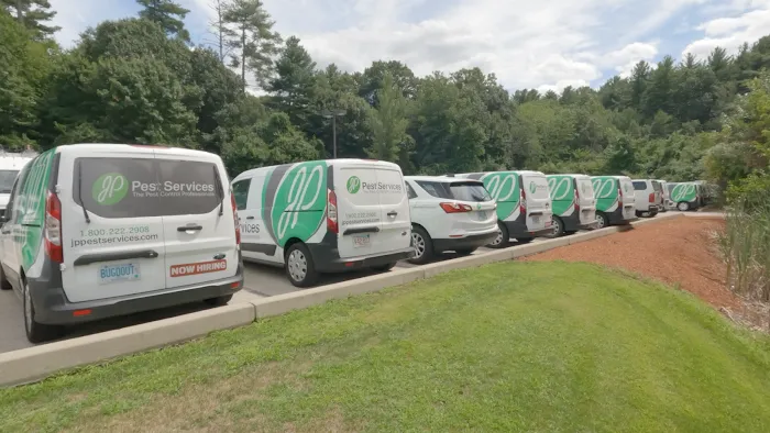JP Pest Services Picture 1