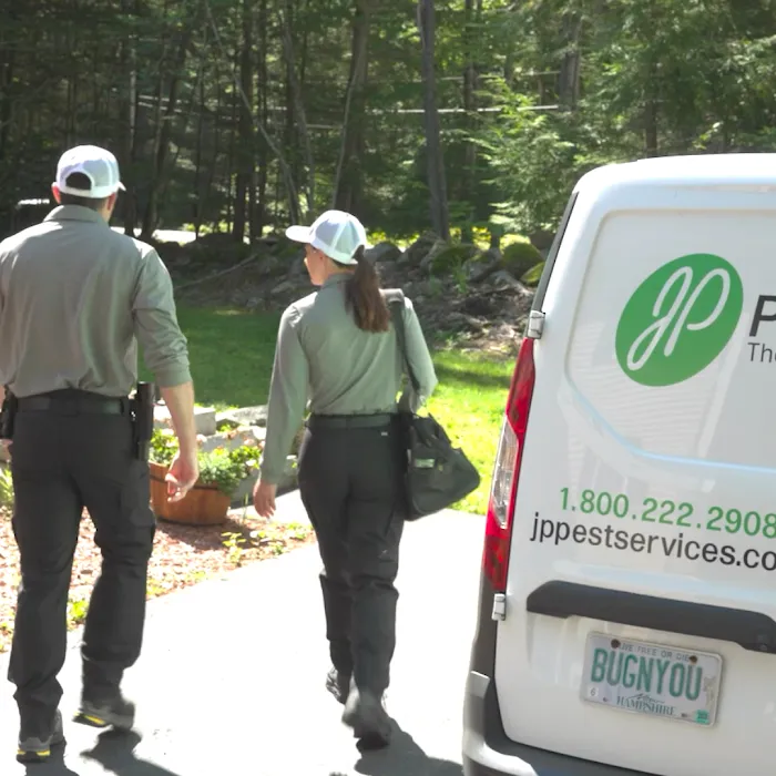 JP Pest Services Picture 2