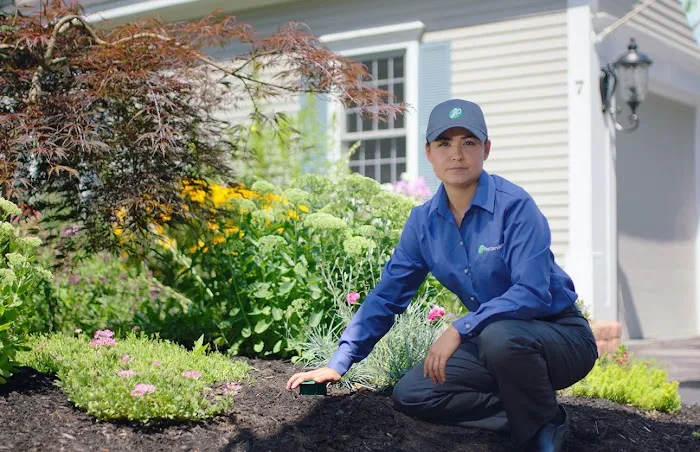JP Pest Services Picture 3