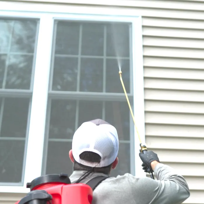 JP Pest Services Picture 8