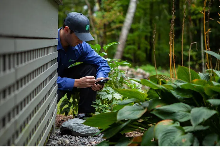 JP Pest Services Picture 5