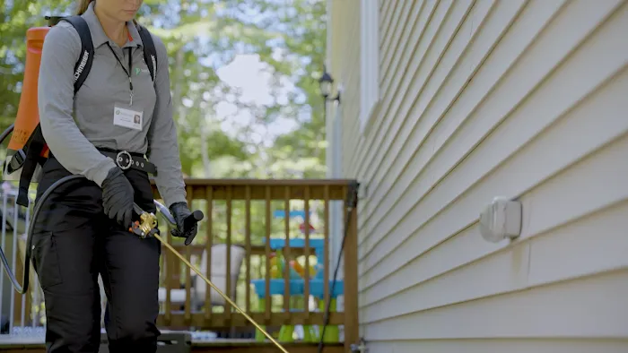 JP Pest Services Picture 4