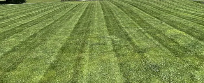 Bio-Spray LLC Picture 1