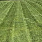 Bio-Spray LLC