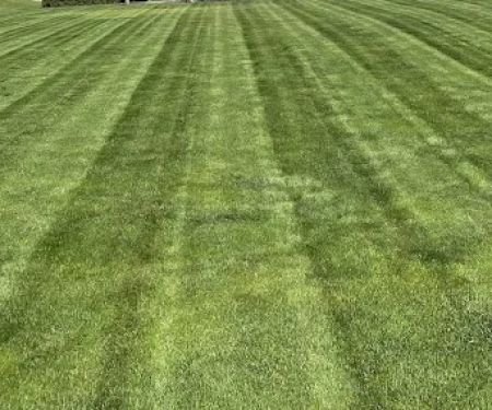 Bio-Spray LLC