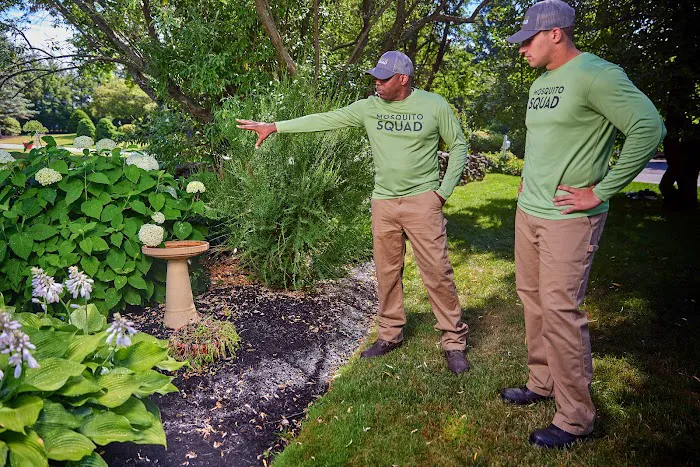 Mosquito Squad of Southern New Hampshire Picture 7
