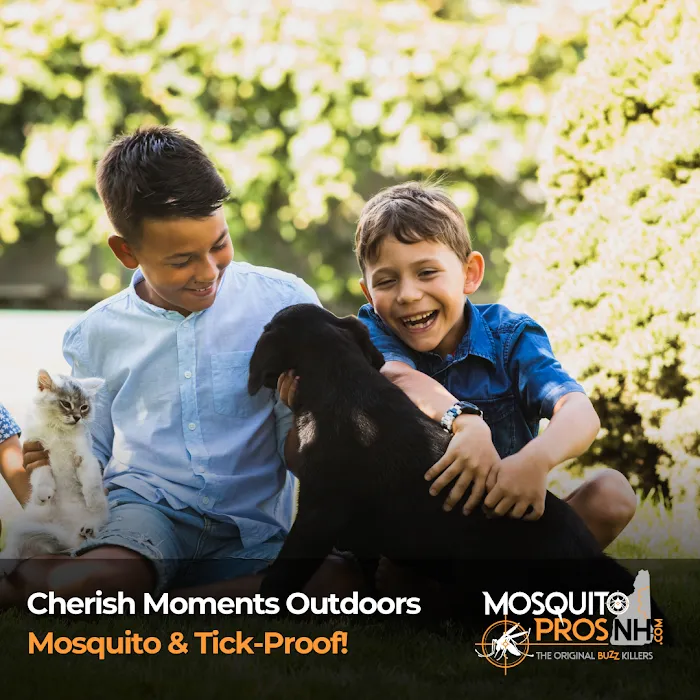 Mosquito Pros NH Picture 6
