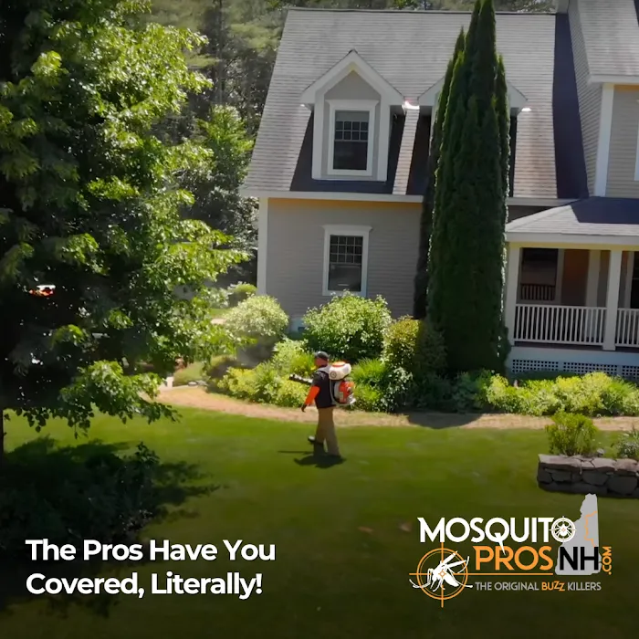 Mosquito Pros NH Picture 4