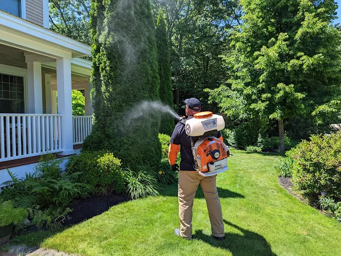 Mosquito Pros NH Picture 7