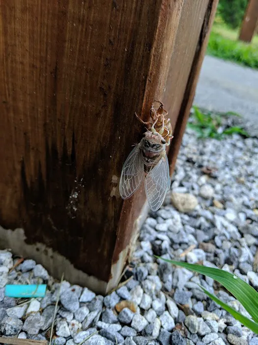 Simply Pest Solutions Picture 9