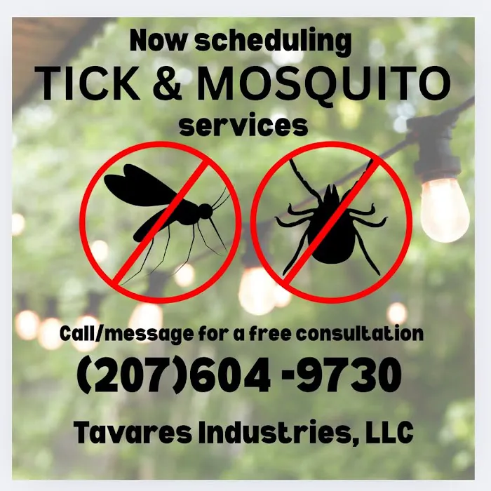 Tavares Industries LLC Picture 2