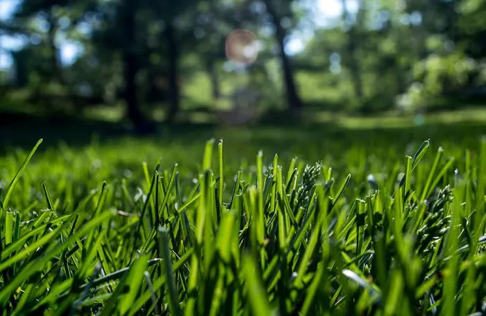 Sterling Insect & Lawn Control Picture 3