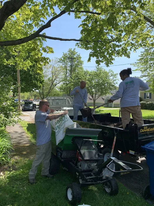 Sterling Insect & Lawn Control Picture 4